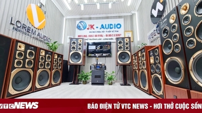 JK Audio - Âm thanh số: Tận hưởng âm thanh chân thực trong không gian sống 