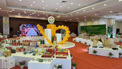 Phó Chủ tịch VUCC Trần Trung Tuấn: Còn nhiều cơ hội cho hàng hoá Việt tại thị trường Hoa Kỳ