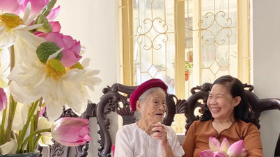 លើកកំពស់តម្លៃនៃផ្កាឈូកខាងលិច