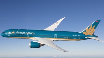 What does Vietnam Airlines say about the risk of being delisted?