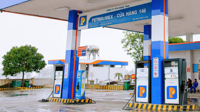A petroleum stock increased shockingly by more than 4,000%, the business results were very 'strange'