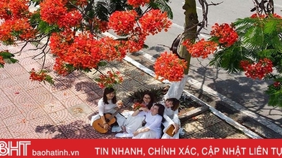 សំឡេងនៃផ្កា phoenix ធ្លាក់ចុះ