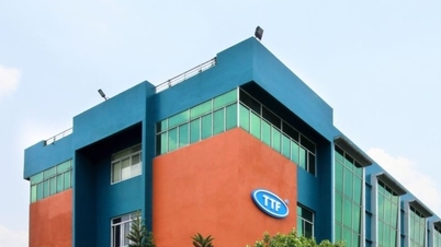 Gỗ Trường Thành của đại gia Mai Hữu Tín bị phong toả tài khoản
