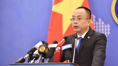 Phản ứng của Việt Nam về các hành vi vi phạm chủ quyền tại quần đảo Hoàng Sa