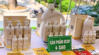 Thanh Hóa: Nhiều sản phẩm OCOP đã xuất khẩu sang các thị trường khó tính