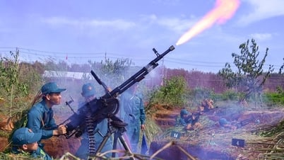 Dong Nai: End of defense area exercise program in Thong Nhat