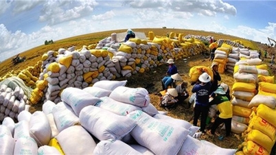 Gạo Việt Nam tận dụng thời cơ làm chủ thị trường