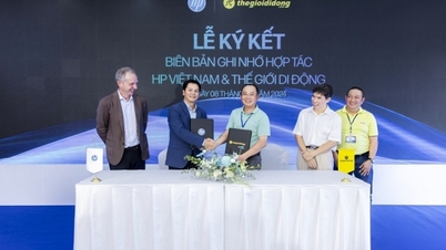 ក្រុមហ៊ុន HP វៀតណាម "ចាប់ដៃគ្នា" ជាមួយ Mobile World ដើម្បីបង្កើនបទពិសោធន៍អ្នកប្រើប្រាស់