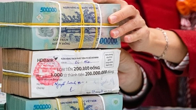New regulations on deposit interest rates will be applied from November 20