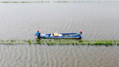 The West welcomes low floods