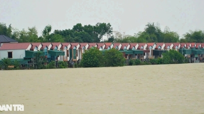 Xóm vạn chài thoát cảnh kéo nhau lên bờ tránh lũ sông Lam
