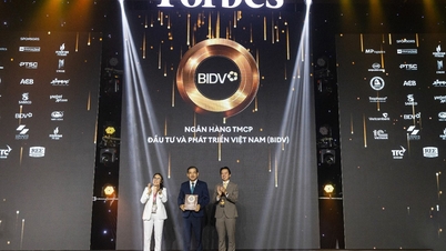 BIDV នាំមុខគេក្នុងការរកប្រាក់ចំណូលក្នុងចំណោមក្រុមហ៊ុនចុះបញ្ជីល្អបំផុតទាំង 50 នៅវៀតណាម