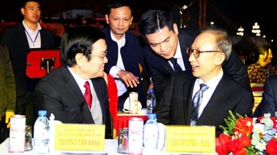 ការទូតក្នុងស្រុក - "សាខា" នៃការទូតវៀតណាម