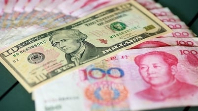 Barriers on the Road to RMB Internationalization