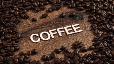តម្លៃកាហ្វេ Robusta ឡើងថ្លៃម្តងទៀត ជិតដល់តម្លៃ $5,000 តើរដូវនាំចេញជារដូវល្អទេ?