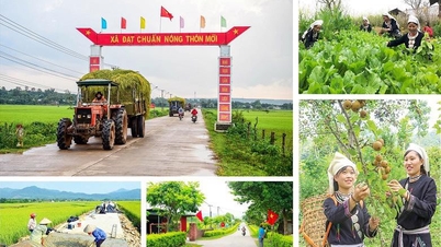 បំពេញបន្ថែមការប៉ាន់ប្រមាណចំណាយវិនិយោគអភិវឌ្ឍន៍ និងផែនការវិនិយោគទុនសម្រាប់កម្មវិធីគោលដៅជាតិ
