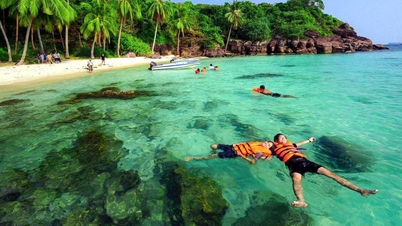 Giá vé máy bay 'cao ngất', doanh nghiệp du lịch ‘kêu cứu’