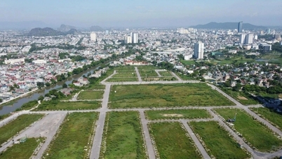 Thanh Hoa strengthens management and control of real estate price fluctuations