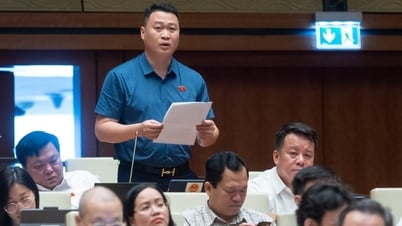 Đề nghị mở động đối tượng cho thuê đất không qua đấu giá