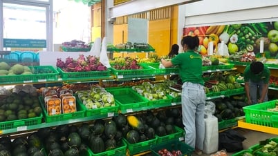 Mobile World រកបានជាង 3,500 ពាន់លានពី Bach Hoa Xanh ក្នុងខែវិច្ឆិកា