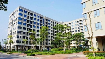 The number of social housing in 2024 increased by 46%