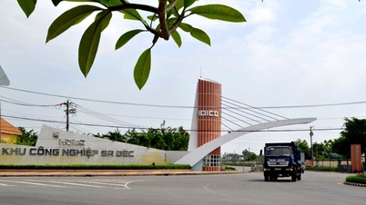 Hội nghị mời gọi doanh nghiệp Nhật Bản đầu tư vào khu công nghiệp Đồng Tháp