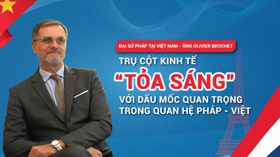 Economic pillar “shines” with important milestone in France-Vietnam relations