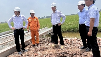 Lãnh đạo EVN, EVNNPT đôn đốc thi công Dự án đường dây 500 kV mạch 3
