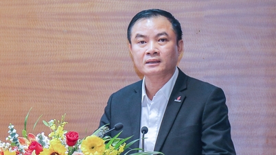 Oil and Gas Group មានអគ្គនាយកថ្មី។