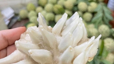 Vietnamese custard apple is expensive at 250,000 VND/kg, Chinese grapes are only 20,000 VND/kg