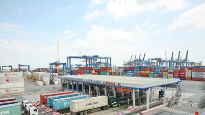 Thông tin rút ruột cà phê, hồ tiêu ở cảng Cát Lái bị cho là 'chưa có căn cứ'