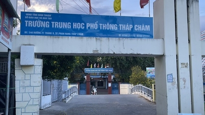 Chủ tịch Ninh Thuận: Xử lý triệt để vụ hiệu trưởng chỉ đạo lạm thu
