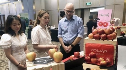 New Zealand introduces high-quality food and beverages to Vietnamese consumers