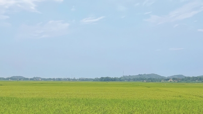 당장의 이익에만 집중하지 말고 장기적인 목표를 잊어버리세요.