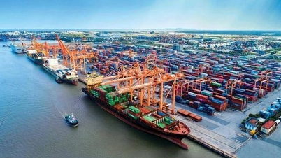 Cước vận tải biển tăng phi mã, doanh nghiệp xuất khẩu gặp khó