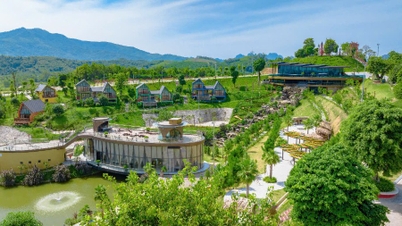 부동산 시장이 회복세를 보이고 있으며, 전문가들은 가격 상승을 위한 4가지 "발사대"를 공개했습니다.