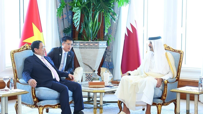 Việt Nam-Qatar thúc đẩy hợp tác, sớm nâng cấp quan hệ lên tầm cao mới
