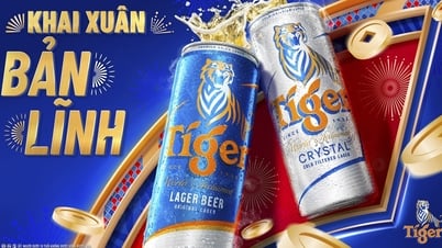 Tiger Beer chuyển mình bản lĩnh với diện mạo mới