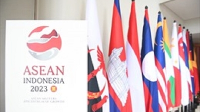 La 43ª Cumbre de la ASEAN tratará el Mar del Este.