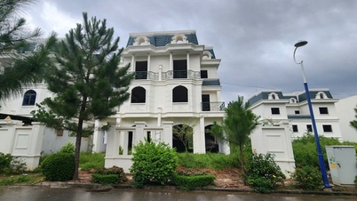 តើ​អចលន​ទ្រព្យ​ធ្លាក់​ចុះ​ហើយ​ឬ​នៅ?