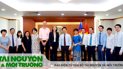 ក្រសួងធនធានធម្មជាតិ និងបរិស្ថាន ស្នើ UNDP ជួយបង្កើតទីផ្សារកាបូន
