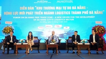 Khu thương mại tự do Đà Nẵng cần chính sách ưu đãi vượt khung, vượt trội