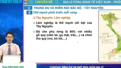 ភូមិសាស្ត្រសេដ្ឋកិច្ច