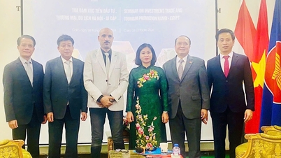 Thúc đẩy hợp tác trên các lĩnh vực giữa Hà Nội với Ai Cập và Nam Phi
