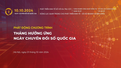 ដំណោះស្រាយដើម្បីពន្លឿន និងបំបែកនៅក្នុងការផ្លាស់ប្តូរឌីជីថល