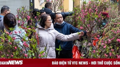 Dự báo thời tiết 10 ngày từ đêm 7/2 đến 17/2 cho Hà Nội và cả nước