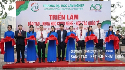 បច្ចេកវិទ្យាឌីជីថល គ្រាប់ពូជ និងការកែច្នៃ គឺជាសសរស្តម្ភសំខាន់នៃឧស្សាហកម្មព្រៃឈើ