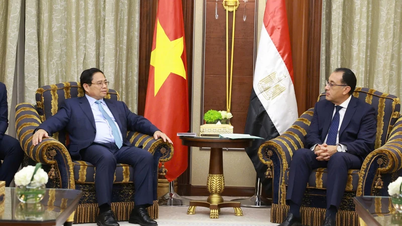 ឆ្ពោះទៅលើកកំពស់ទំនាក់ទំនងវៀតណាម-អេហ្ស៊ីបឡើងកំពស់ថ្មី។