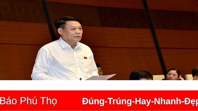 Thảo luận về việc huy động, quản lý và sử dụng các nguồn lực phục vụ công tác phòng, chống dịch COVID -19; thực hiện chính sách, pháp luật y tế cơ sở, y tế dự phòng