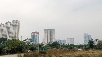 Công an đề nghị dừng giao dịch 77 lô đất tại quận Hà Đông